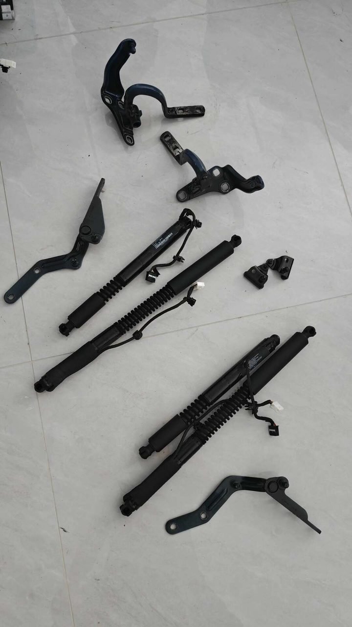 Tesla rear door stay with bracket