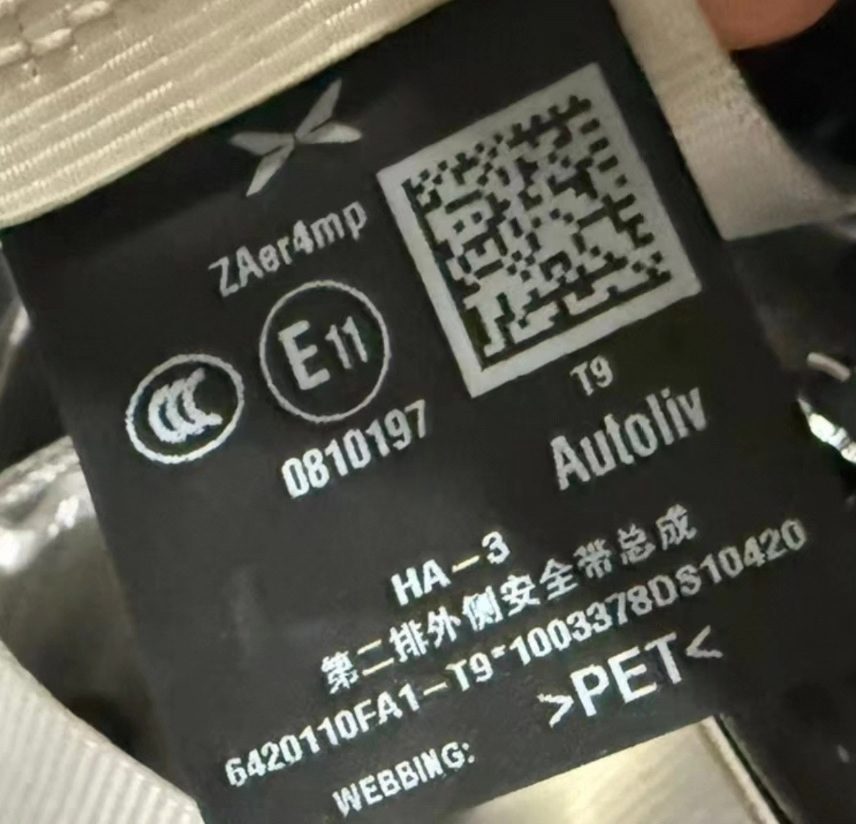 Xpeng G6, 안전 벨트, 전면 및 후면 모두