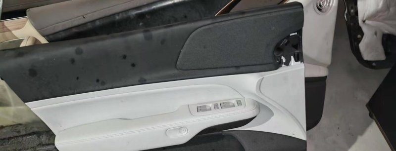 XPeng G6 ドア 内装パネル、 純正解体部品、 付き スイッチ と スピーカー、 コネクター完備
